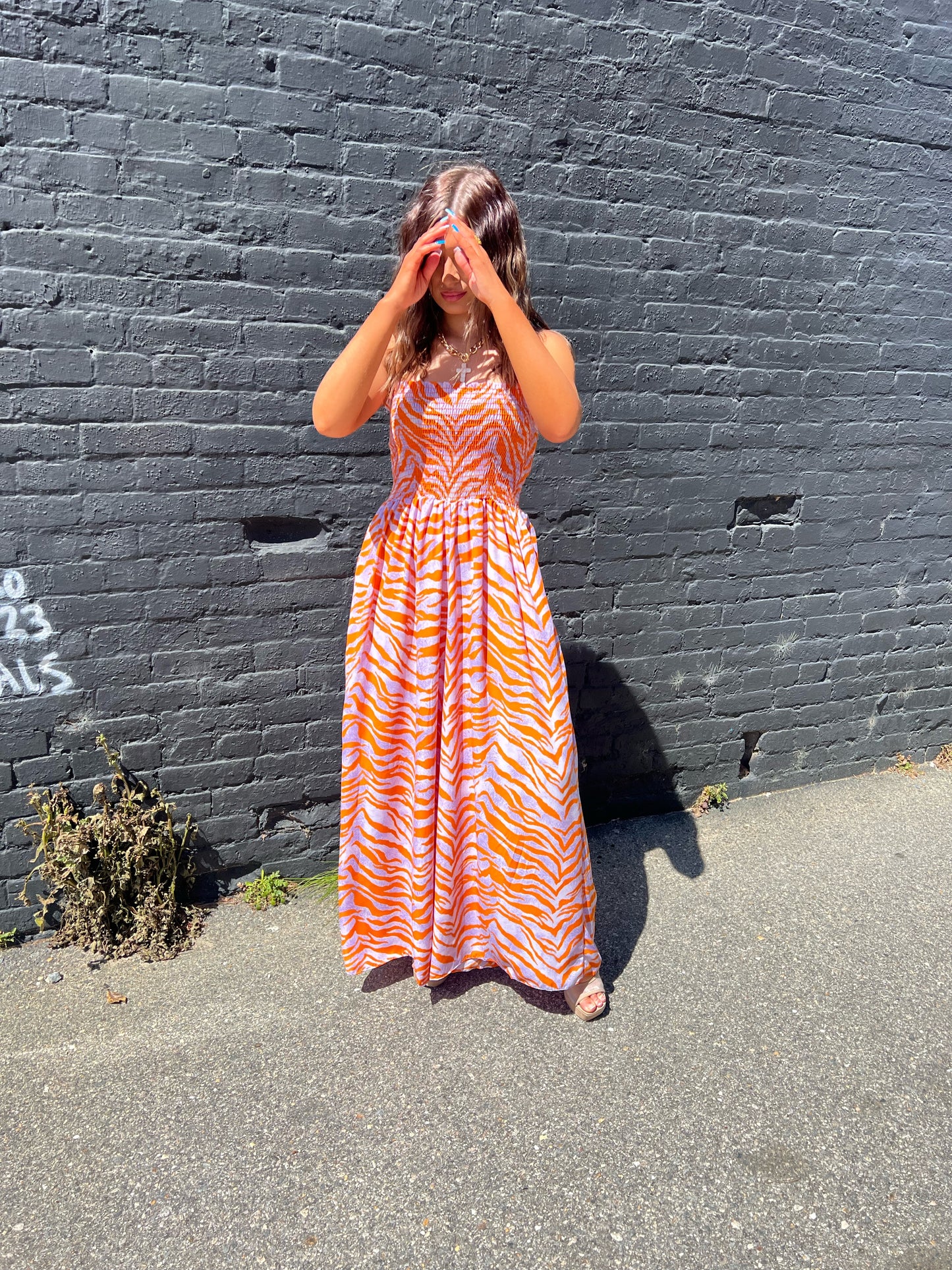 The Oasis Zebra Jumpsuit