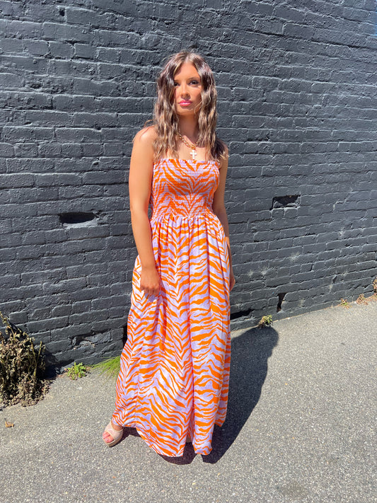 The Oasis Zebra Jumpsuit