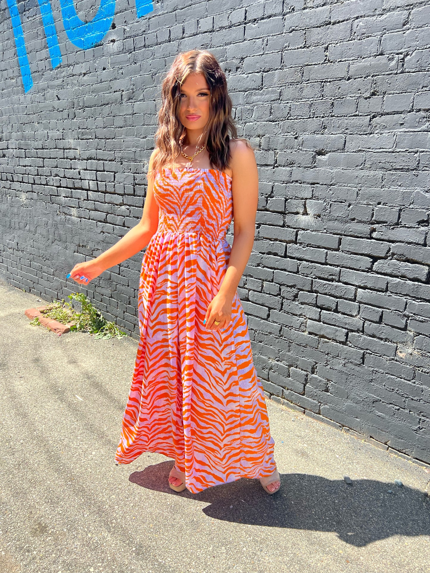 The Oasis Zebra Jumpsuit
